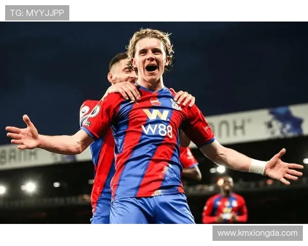 2017年水晶宫对阵利物浦精彩回顾与赛后分析